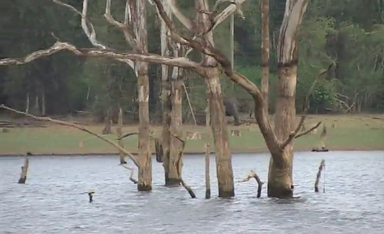 Kannada Bhasha Mandakini: Forest of Karnataka- Part-1